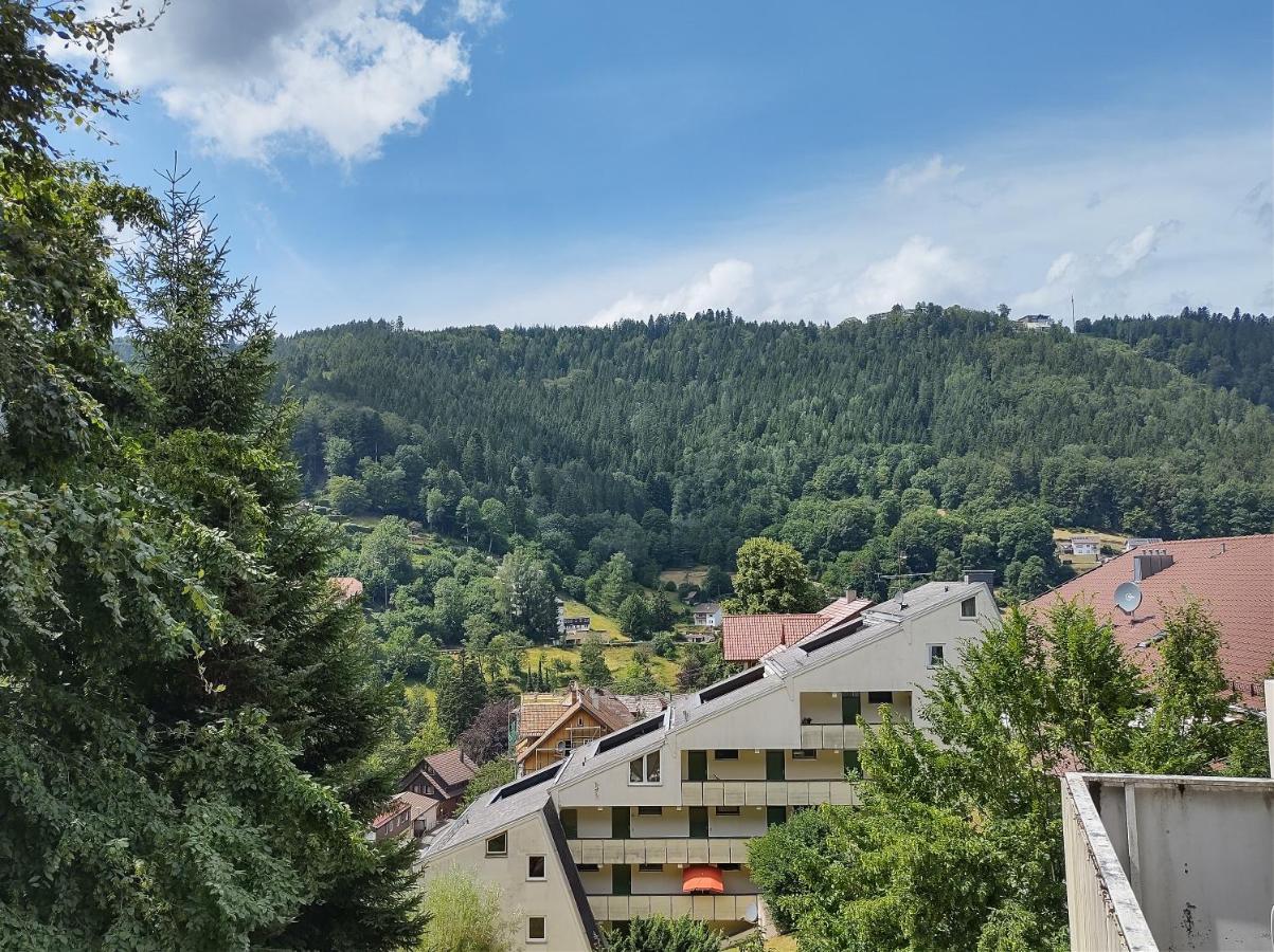 Ein-Zimmer Apartment Mit Aussicht Бад-Вильдбад Экстерьер фото